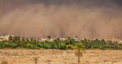 "Дюна": песчаную бурю в Бразилии засняли на видео