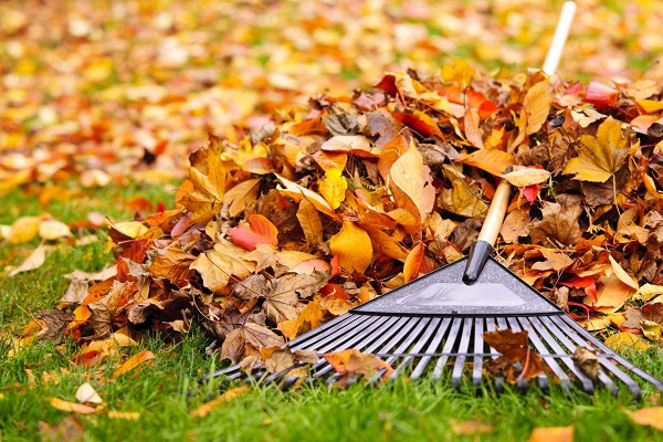5 способов использовать опавшую листву на даче&nbsp