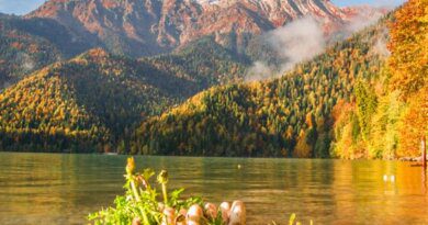 Что делать туристам осенью в Абхазии