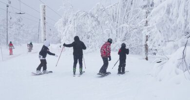 Названы лучшие горнолыжные курорты Пермского края