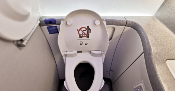 Может ли туалет в самолете засосать человека