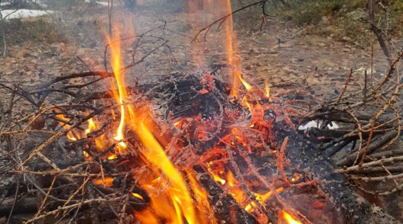 С 11 мая в Усинске вводится пожароопасный сезон в лесах