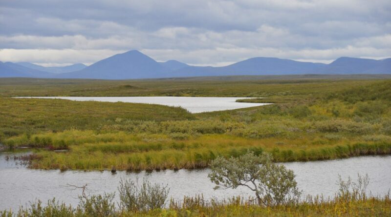 В Коми увеличены территории по программе «Гектар в Арктике»