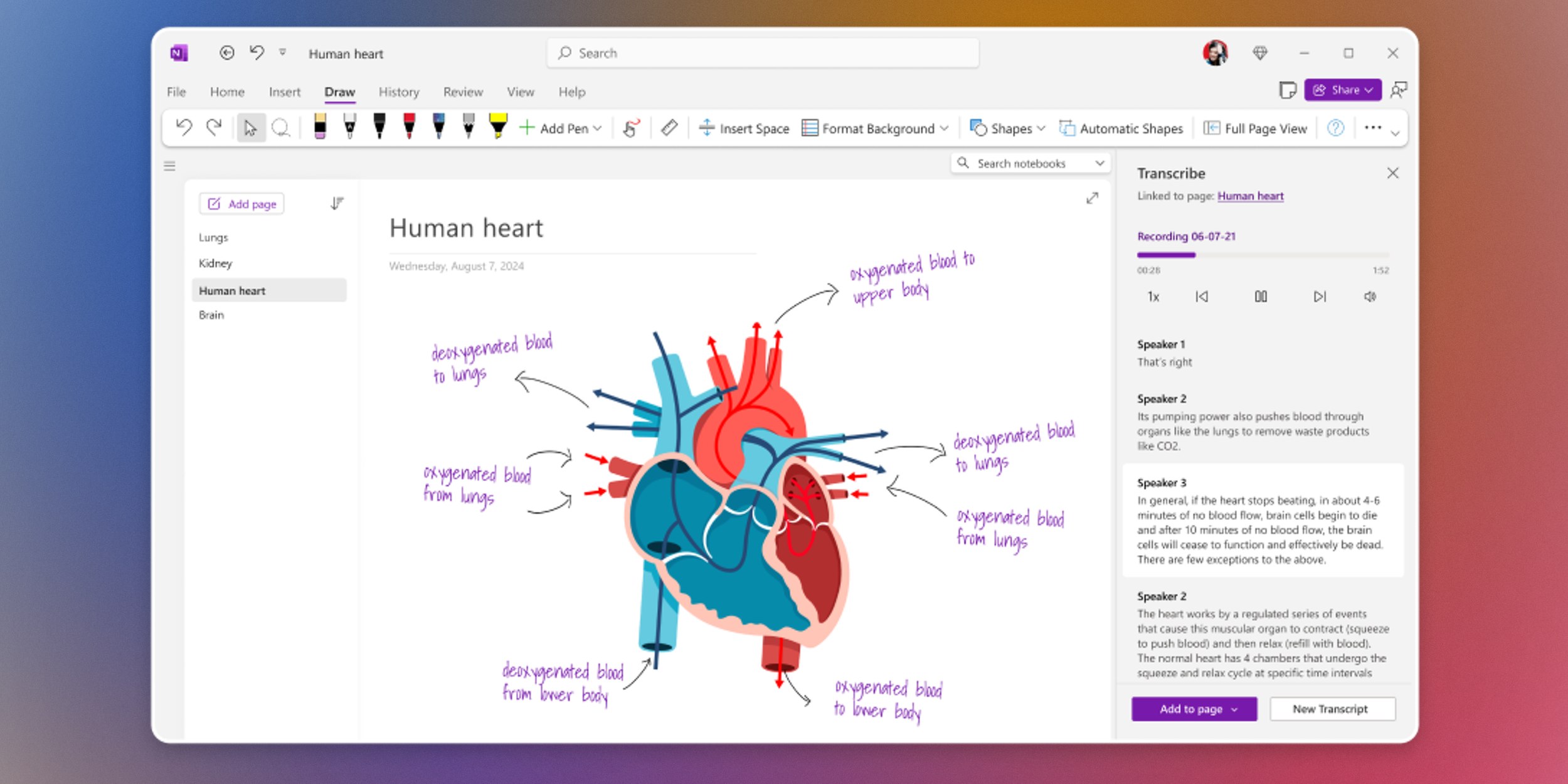 Приложения для конспектов на ноутбуке: OneNote