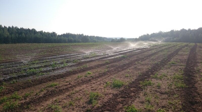 Жителям Усинска предлагают бесплатно получить гектар земли в Арктической зоне