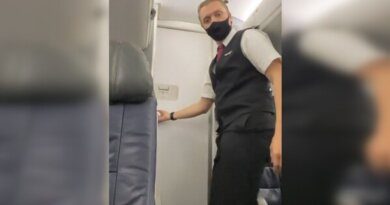 Бортпроводник рассказал о секретной двери в туалет в самолете