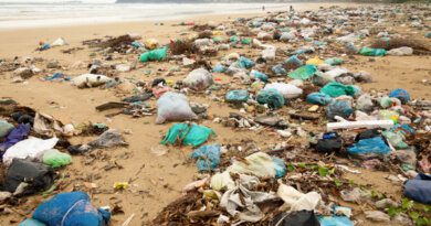Видео: заваленный мусором Бали ужаснул туристов