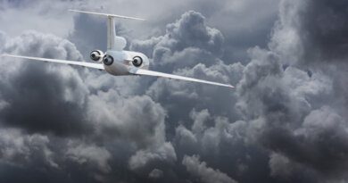 Видео: в самолет с россиянами ударила молния