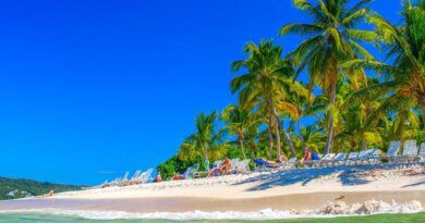 Когда лучше всего лететь отдыхать в Доминикану