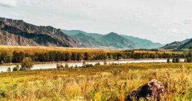 Сколько стоит съездить осенью на Алтай