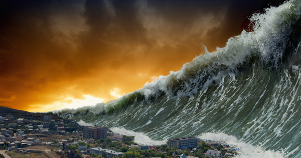 Что делать, если цунами настигло в отеле