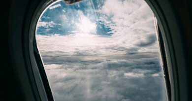 Россиянин разбил стекло иллюминатора в самолете: видео