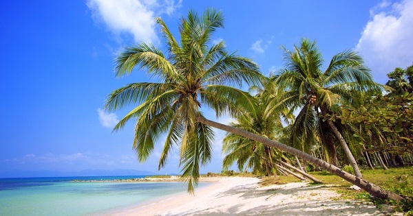 Перечислены самые живописные пляжи мира для фото
