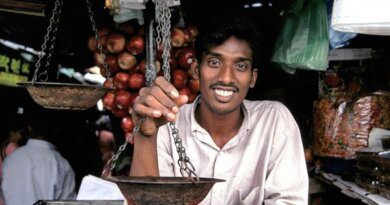 Какие сувениры нельзя привозить из Шри-Ланки