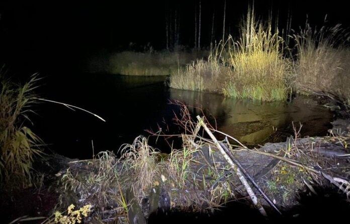 Бобровая плотина защитила водоём в Коми от попадания нефти при аварии