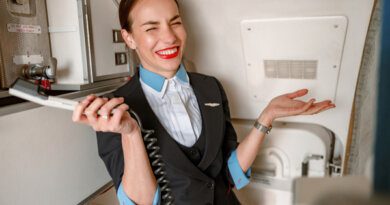 Стюардесса высмеяла поведение русских в самолете