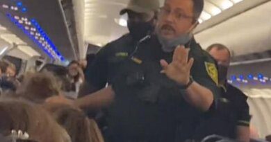 Задержание «дымящей» пассажирки самолета попало на видео