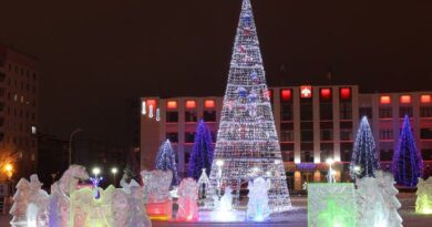 Депутаты Коми поставили под сомнение целесообразность строительства новогодних ледовых городков
