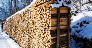 Директор частной организации в Усинске решила нажиться на поставке дров жителям Колвы