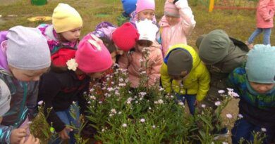 Дошкольники Усинска помогают растить цветы и клубнику