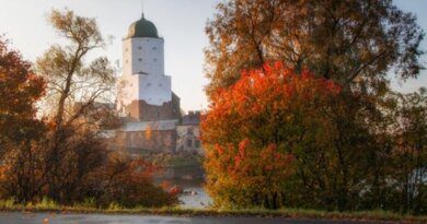 Русская Швеция: зачем ехать в Выборг осенью