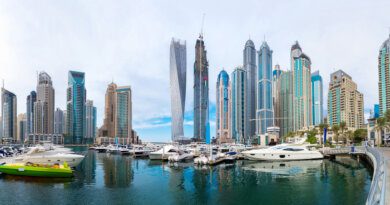 Дубай станет первым городом с паспортами здоровья для туристов