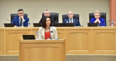 Евгения Лясковская представила законопроект, расширяющий возможности регионального материнского капитала