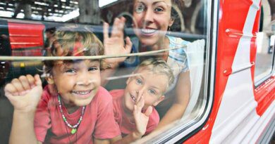 Многодетные семьи смогут путешествовать в поездах дальнего следования со скидкой 15%