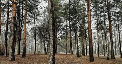 Новые площадки для экотуризма появились в Нижегородской области