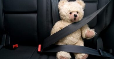 Опровергаем заблуждения о ремне безопасности в автомобиле