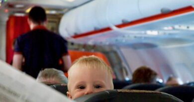 Предлагается гарантировать авиапассажирам с детьми бесплатный выбор мест в самолете