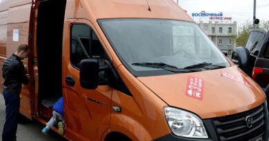 Продажи LCV «ГАЗ» в 2020 году снизились на 20% — Рамблер/авто