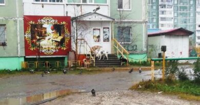 Россиян начнут штрафовать за оставленных на улице собак и кошек