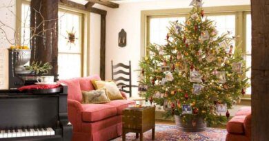 С 1 января вступят в силу новые требования по установке новогодней елки
