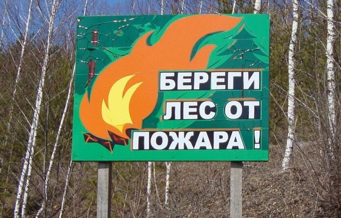 Сегодня в Щельябоже будут “ликвидировать низовой пожар”