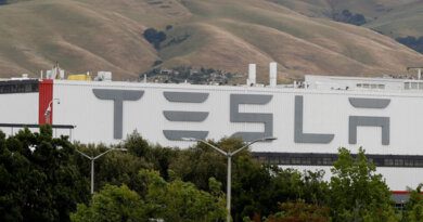 Tesla приостановила продажи электрокроссовера Model Y — Рамблер/авто