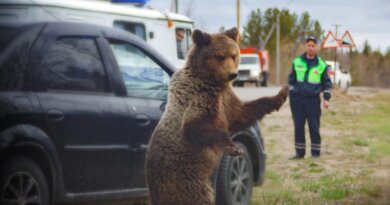 Управление ГО и ЧС Усинска начинает готовить горожан и сельчан ко встрече с медведями