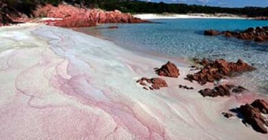 В Италии туристам грозит штраф за воровство песка с пляжа