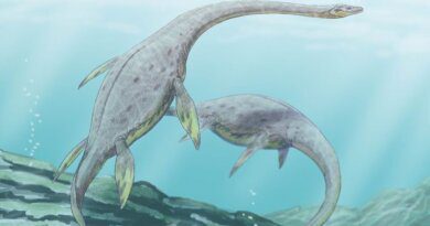 В Коми нашли останки динозавра Юрского периода