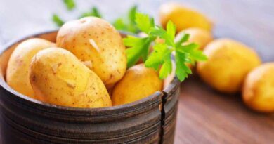 В Коми подорожал картофель на 19 %