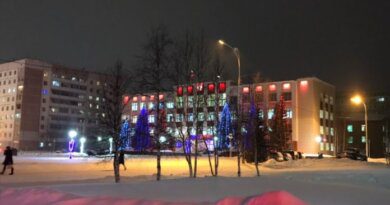 В России предложили продлить новогодние каникулы на две недели