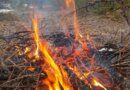 На границе Усинска вспыхнул лесной пожар