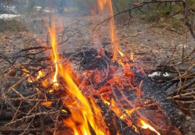 На границе Усинска вспыхнул лесной пожар