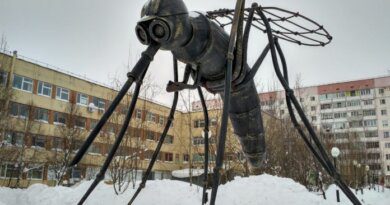 В Усинске есть памятники и комару, и сапогам, но голосовать зовут за их собратьев в других городах