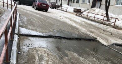 В Усинске из-под снега показываются первые не пережившие зиму