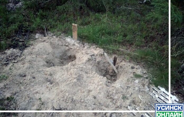 В Усинске медведь разворотил кладбище домашних животных