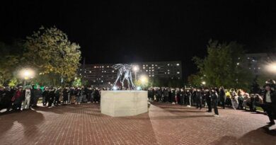 В Усинске открыли обновленный сквер у памятника комару