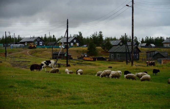 В усинской деревне «Васькино» введут льготные тарифы на электроэнергию